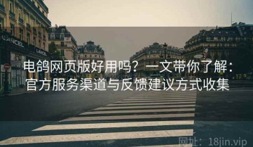 电鸽网页版好用吗？一文带你了解：官方服务渠道与反馈建议方式收集