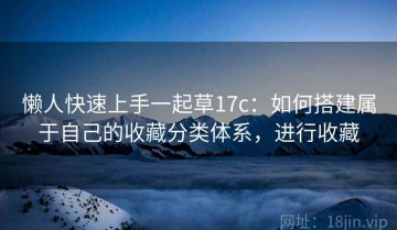 懒人快速上手一起草17c：如何搭建属于自己的收藏分类体系，进行收藏