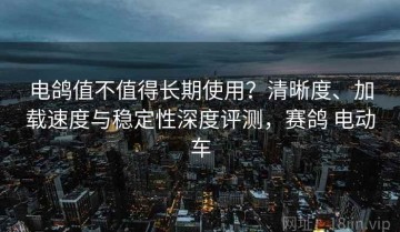 电鸽值不值得长期使用？清晰度、加载速度与稳定性深度评测，赛鸽 电动车