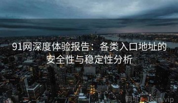 91网深度体验报告：各类入口地址的安全性与稳定性分析