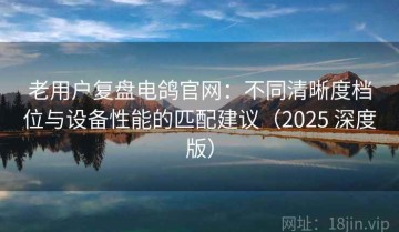 老用户复盘电鸽官网：不同清晰度档位与设备性能的匹配建议（2025 深度版）