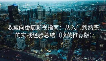 收藏向番茄影视指南：从入门到熟练的实战经验总结（收藏推荐版）