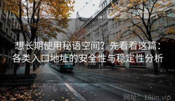 想长期使用秘语空间？先看看这篇：各类入口地址的安全性与稳定性分析
