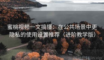 蜜桃视频一文搞懂：在公共场景中更隐私的使用设置推荐（进阶教学版）