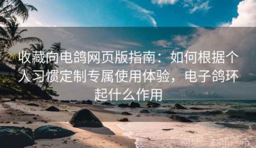 收藏向电鸽网页版指南：如何根据个人习惯定制专属使用体验，电子鸽环起什么作用