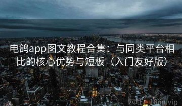 电鸽app图文教程合集：与同类平台相比的核心优势与短板（入门友好版）