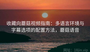收藏向蘑菇视频指南：多语言环境与字幕选项的配置方法，蘑菇语音