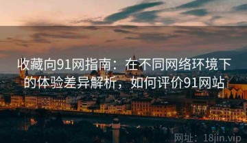 收藏向91网指南：在不同网络环境下的体验差异解析，如何评价91网站