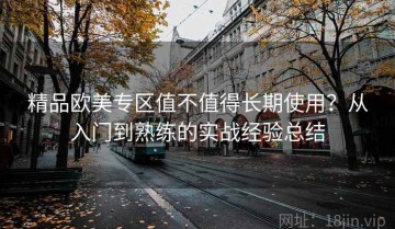 精品欧美专区值不值得长期使用？从入门到熟练的实战经验总结