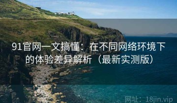 91官网一文搞懂：在不同网络环境下的体验差异解析（最新实测版）