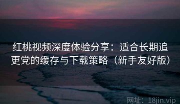 红桃视频深度体验分享：适合长期追更党的缓存与下载策略（新手友好版）