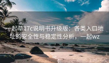 一起草17c说明书升级版：各类入口地址的安全性与稳定性分析，一起wz