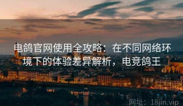 电鸽官网使用全攻略：在不同网络环境下的体验差异解析，电竞鸽王