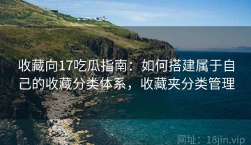 收藏向17吃瓜指南：如何搭建属于自己的收藏分类体系，收藏夹分类管理