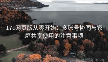 17c网页版从零开始：多账号协同与家庭共享使用的注意事项
