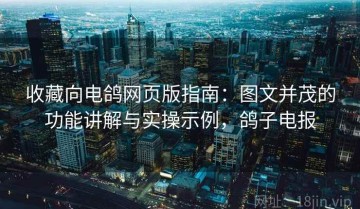 收藏向电鸽网页版指南：图文并茂的功能讲解与实操示例，鸽子电报