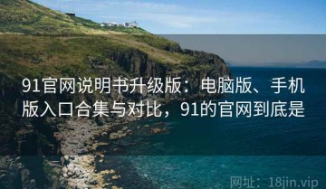91官网说明书升级版：电脑版、手机版入口合集与对比，91的官网到底是