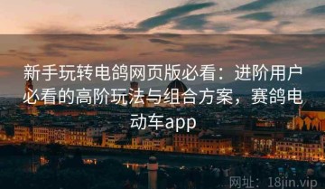 新手玩转电鸽网页版必看：进阶用户必看的高阶玩法与组合方案，赛鸽电动车app
