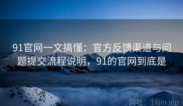 91官网一文搞懂：官方反馈渠道与问题提交流程说明，91的官网到底是