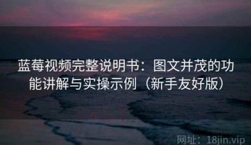 蓝莓视频完整说明书：图文并茂的功能讲解与实操示例（新手友好版）