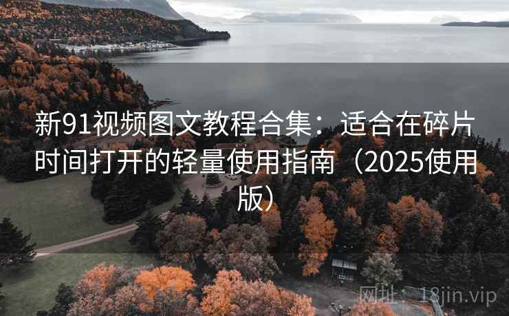 新91视频图文教程合集：适合在碎片时间打开的轻量使用指南（2025使用版）