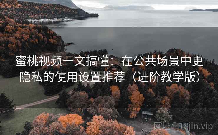 蜜桃视频一文搞懂：在公共场景中更隐私的使用设置推荐（进阶教学版）