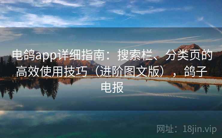 电鸽app详细指南：搜索栏、分类页的高效使用技巧（进阶图文版），鸽子电报