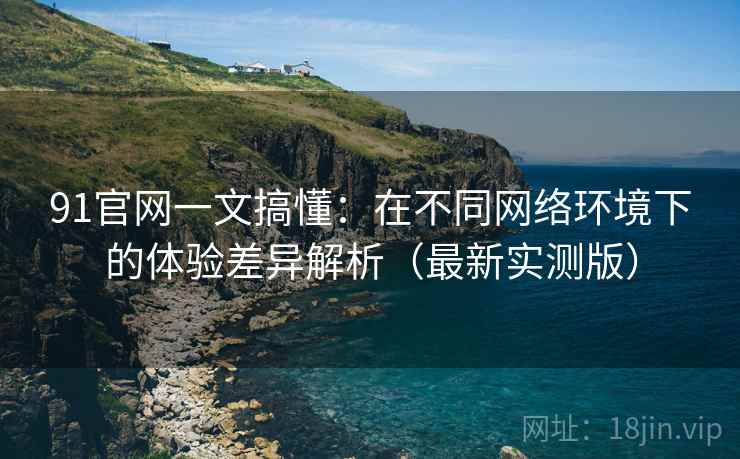 91官网一文搞懂：在不同网络环境下的体验差异解析（最新实测版）