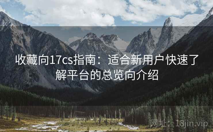 收藏向17cs指南：适合新用户快速了解平台的总览向介绍