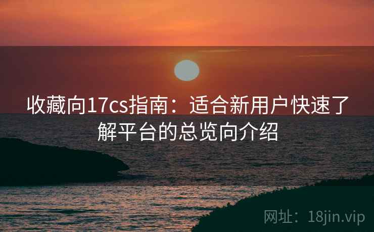 收藏向17cs指南：适合新用户快速了解平台的总览向介绍