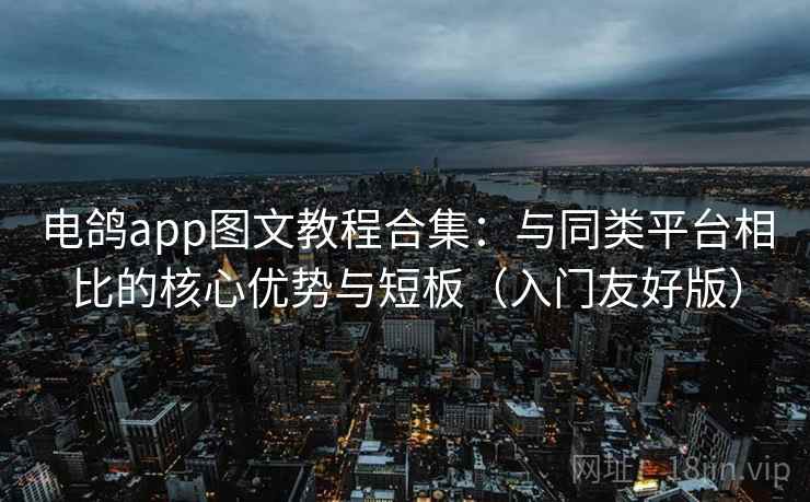 电鸽app图文教程合集：与同类平台相比的核心优势与短板（入门友好版）