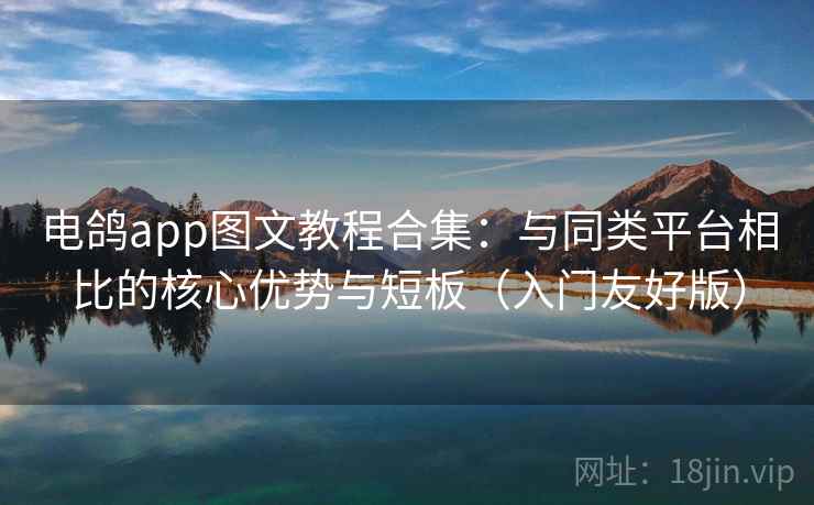 电鸽app图文教程合集：与同类平台相比的核心优势与短板（入门友好版）