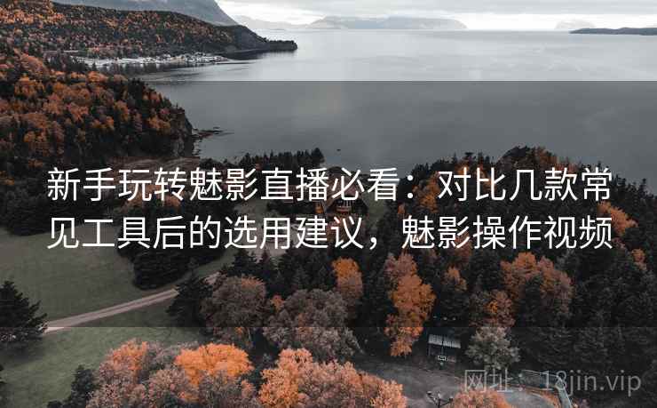 新手玩转魅影直播必看：对比几款常见工具后的选用建议，魅影操作视频