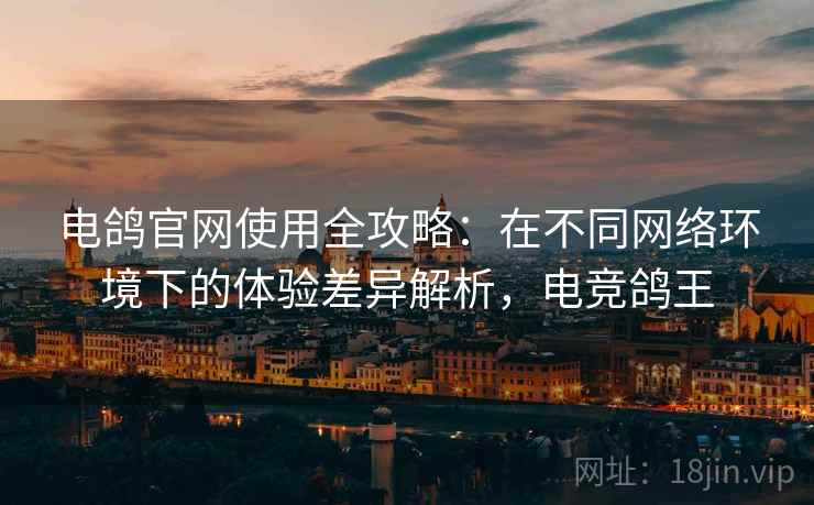 电鸽官网使用全攻略：在不同网络环境下的体验差异解析，电竞鸽王