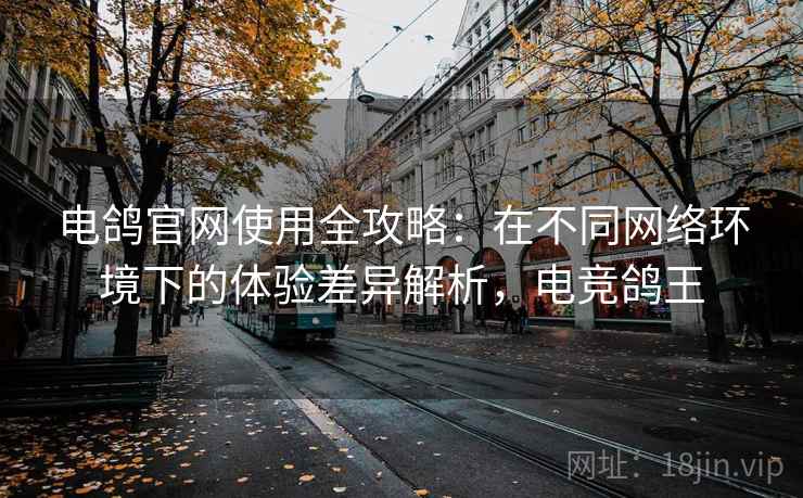 电鸽官网使用全攻略：在不同网络环境下的体验差异解析，电竞鸽王
