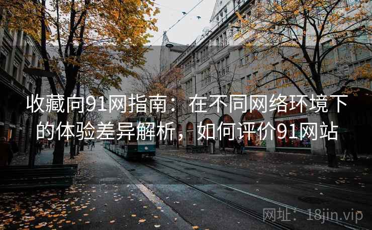 收藏向91网指南:在不同网络环境下的体验差异解析,如何评价91网站 收藏向91网指南:在不同网络环境下的体验差异解析,如何评价91网站