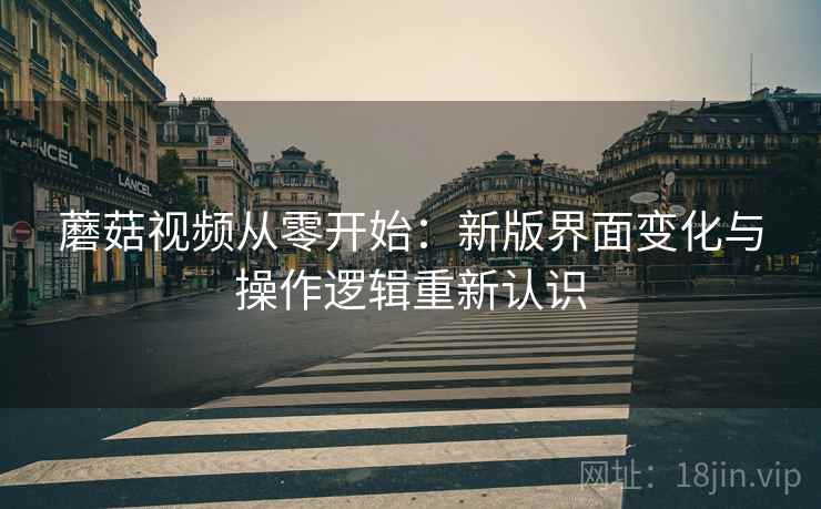 蘑菇视频从零开始:新版界面变化与操作逻辑重新认识 蘑菇视频从零开始:新版界面变化与操作逻辑重新认识